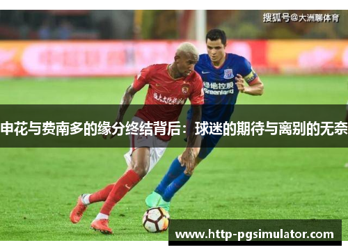 申花与费南多的缘分终结背后:球迷的期待与离别的无奈 申花与费南多的缘分终结背后:球迷的期待与离别的无奈