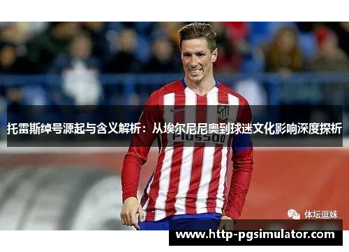 托雷斯绰号源起与含义解析：从埃尔尼尼奥到球迷文化影响深度探析