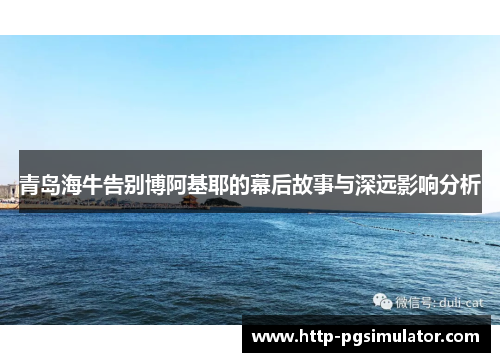 青岛海牛告别博阿基耶的幕后故事与深远影响分析 青岛海牛告别博阿基耶的幕后故事与深远影响分析