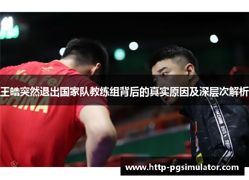 王皓突然退出国家队教练组背后的真实原因及深层次解析