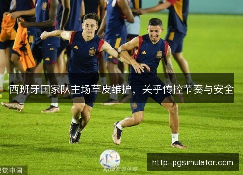西班牙国家队主场草皮维护,关乎传控节奏与安全 西班牙国家队主场草皮维护,关乎传控节奏与安全
